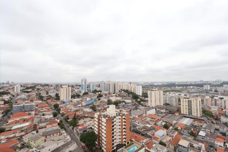 Apartamento à venda com 440m², 5 quartos e 5 vagasVista da Varanda da Sala