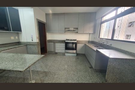 Cozinha de apartamento para alugar com 4 quartos, 313m² em Funcionários, Belo Horizonte