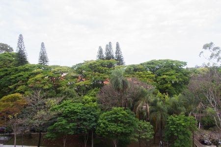 Apartamento para alugar com 1 quarto, 34m² em Santo Amaro, São Paulo