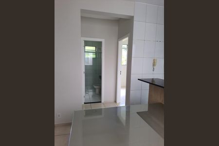 Apartamento para alugar com 2 quartos, 46m² em Chácaras Tubalina e Quartel, Uberlândia
