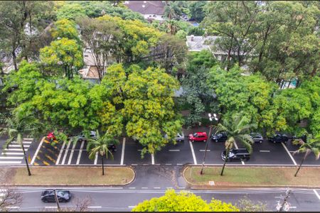 Apartamento para alugar com 212m², 4 quartos e 2 vagasVista da Varanda