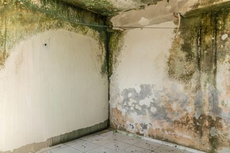 Quarto de casa à venda com 1 quarto, 177m² em Alto dos Pinheiros, Belo Horizonte