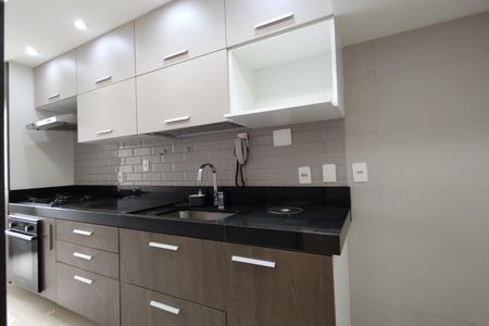 Apartamento para alugar com 74m², 2 quartos e 1 vagaCozinha - Armários