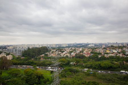 Vista Quarto 1 de apartamento para alugar com 2 quartos, 44m² em Jardim Iris, São Paulo