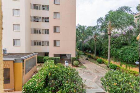 Vista do Quarto 2 de apartamento à venda com 2 quartos, 48m² em Jardim Dom Vieira, Campinas