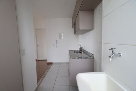 Cozinha de apartamento para alugar com 2 quartos, 56m² em Quintino Facci Ii, Ribeirão Preto