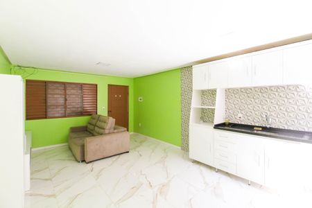 Cozinha de apartamento para alugar com 1 quarto, 28m² em Igará, Canoas