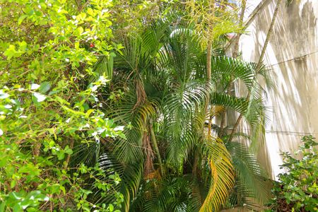 Vista da Sala de apartamento para alugar com 2 quartos, 70m² em Méier, Rio de Janeiro