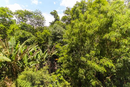 Vista do Quarto 1 de apartamento à venda com 2 quartos, 43m² em Colônia (zona Leste), São Paulo