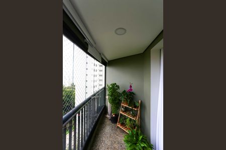 Varanda de apartamento para alugar com 2 quartos, 116m² em Vila Suzana, São Paulo