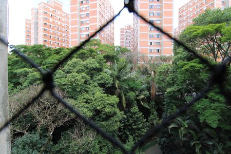 Apartamento para alugar com 2 quartos, 45m² em Jardim Catanduva, São Paulo