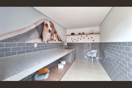 Apartamento para alugar com 30m², 1 quarto e sem vagaPet Place