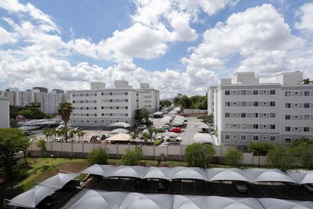 Quarto 1 - Vista de apartamento à venda com 2 quartos, 48m² em Planalto, Belo Horizonte