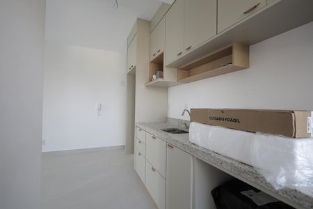 Cozinha de apartamento para alugar com 2 quartos, 63m² em Parque das Nações, Santo André