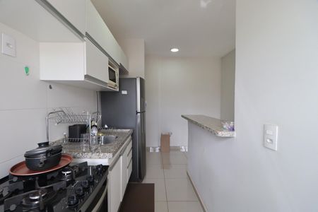 Cozinha de apartamento para alugar com 2 quartos, 58m² em Subsetor Leste - 2 (l-2), Ribeirão Preto
