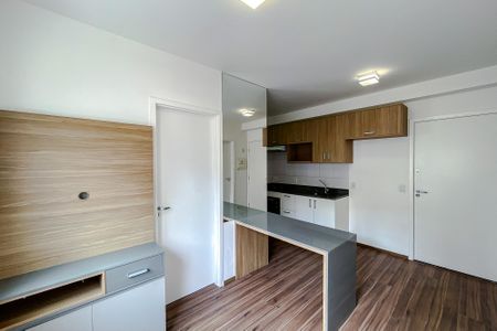 Sala de apartamento para alugar com 2 quartos, 34m² em Cambuci, São Paulo